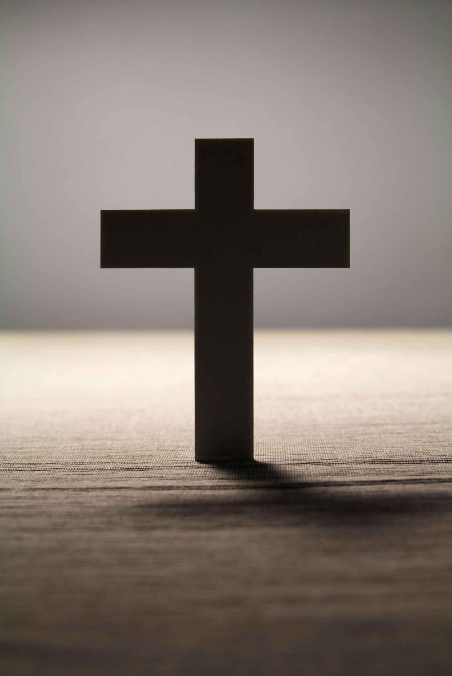 How Mentorship Transforms Student and Alumni Relationships